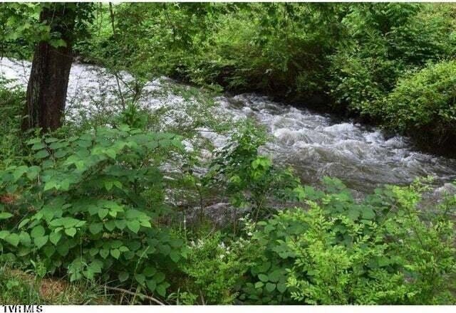 500 Guy Lloyd Rd, Erwin, TN 37650 - view of nature featuring a nearby body of water