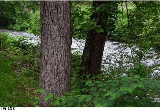 500 Guy Lloyd Rd, Erwin, TN 37650 - view of wooded area