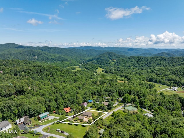 119 Orchard Meadows Ln, Roan Mountain, TN 37687 - aerial view of property and surrounding area with property boundaries highlighted and a mountainous background