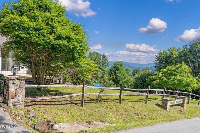 119 Orchard Meadows Ln, Roan Mountain, TN 37687 - view of mountain background