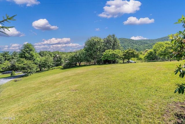 119 Orchard Meadows Ln, Roan Mountain, TN 37687 - view of green lawn with a mountain view