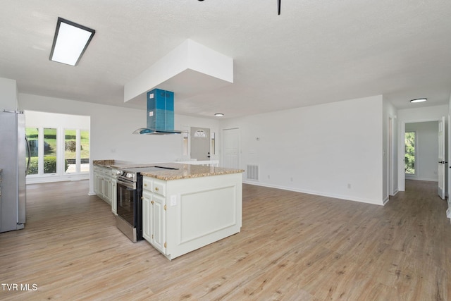 119 Orchard Meadows Ln, Roan Mountain, TN 37687 - kitchen featuring stainless steel appliances, ventilation hood, light wood-style floors, and plenty of natural light