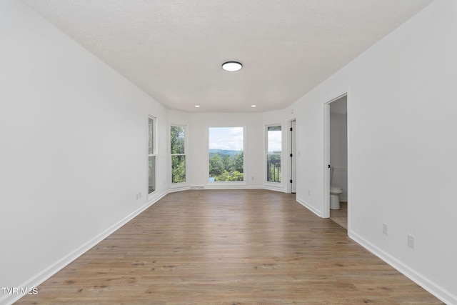 119 Orchard Meadows Ln, Roan Mountain, TN 37687 - spare room featuring light wood-style floors and recessed lighting