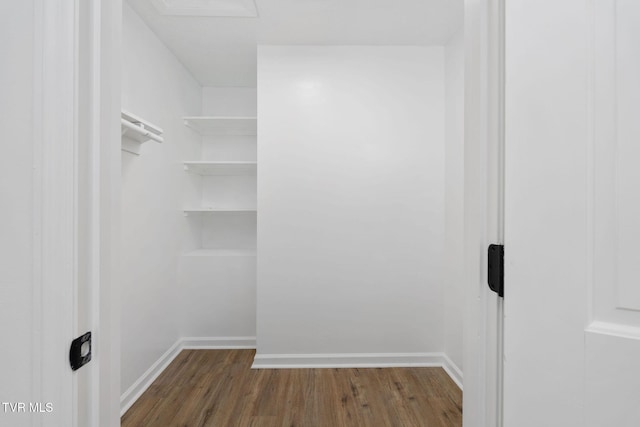 119 Orchard Meadows Ln, Roan Mountain, TN 37687 - walk in closet with wood finished floors