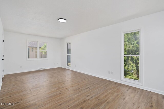 119 Orchard Meadows Ln, Roan Mountain, TN 37687 - spare room featuring plenty of natural light and wood finished floors