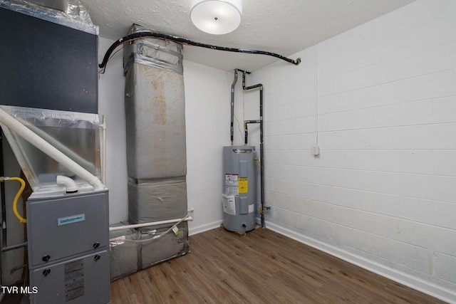 119 Orchard Meadows Ln, Roan Mountain, TN 37687 - utility room featuring water heater