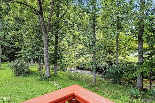 7742 S Fork Rd, Pound, VA 24279 - photo 36