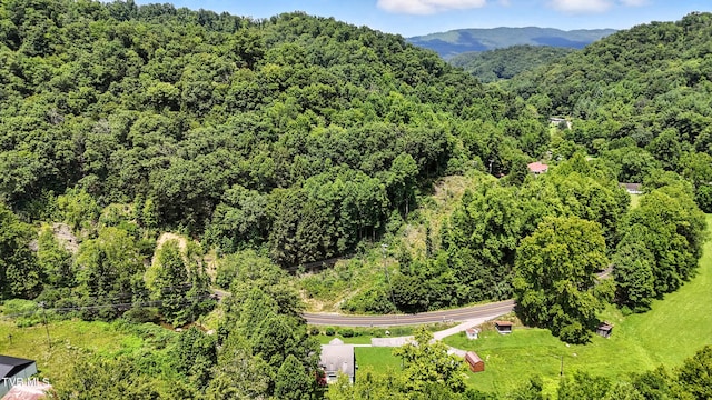 7742 S Fork Rd, Pound, VA 24279 - photo 43