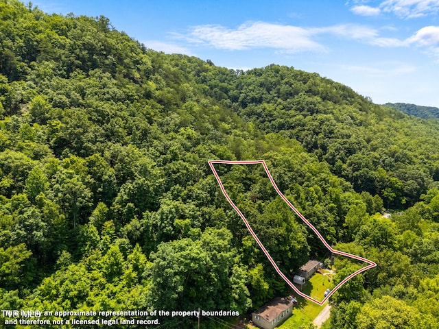 904 Briar Fork Rd, Bean Station, TN 37708 - aerial view of property and surrounding area with a heavily wooded area and property boundaries highlighted
