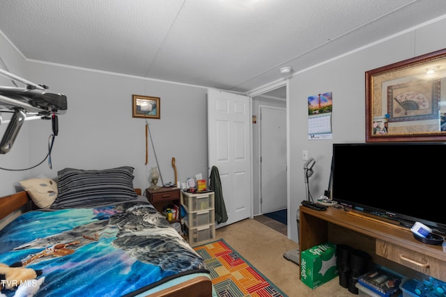 904 Briar Fork Rd, Bean Station, TN 37708 - carpeted bedroom with a textured ceiling