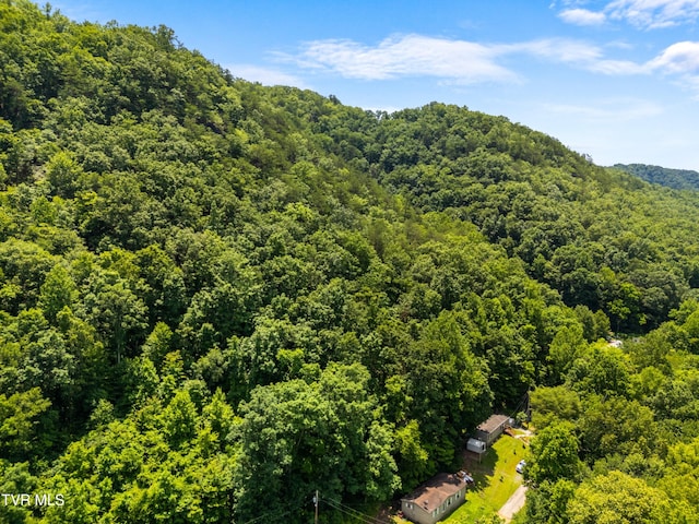 904 Briar Fork Rd, Bean Station, TN 37708 - aerial view of a forest
