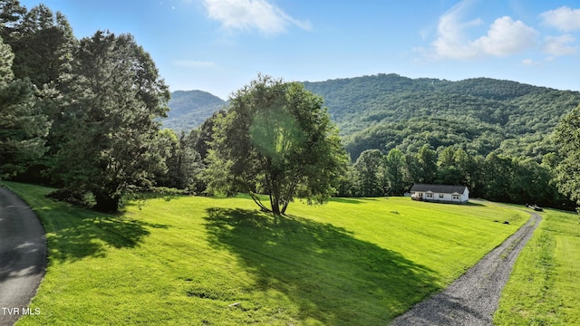 TBD Persimmon Dr, Big Stone Gap, VA 24219 - photo 1
