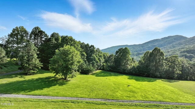 TBD Persimmon Dr, Big Stone Gap, VA 24219 - photo 3