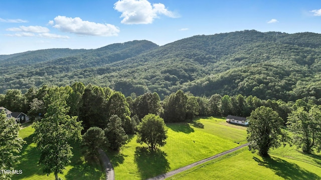 TBD Persimmon Dr, Big Stone Gap, VA 24219 - photo 4