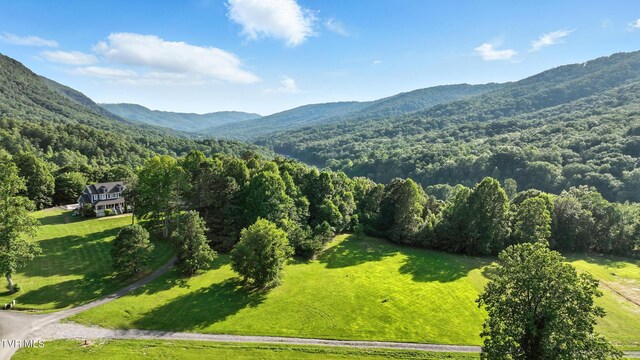TBD Persimmon Dr, Big Stone Gap, VA 24219 - photo 5