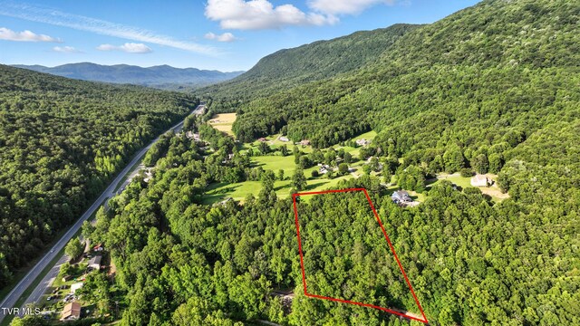 TBD Persimmon Dr, Big Stone Gap, VA 24219 - photo 6