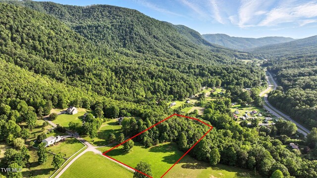 TBD Persimmon Dr, Big Stone Gap, VA 24219 - photo 8