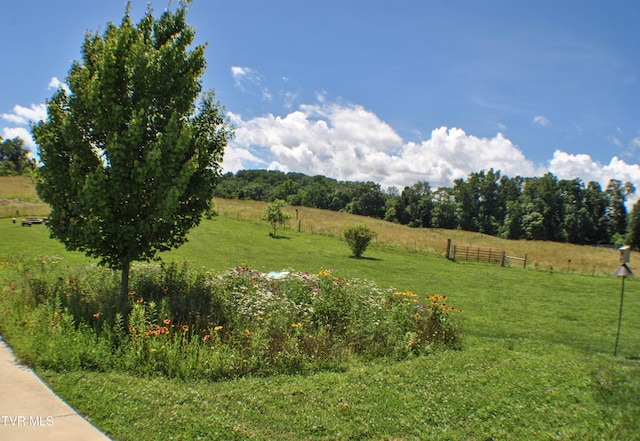 286 Sliger Rd, Jonesborough, TN 37659 - view of yard with a rural view