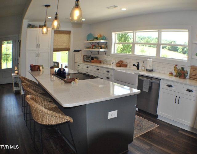 286 Sliger Rd, Jonesborough, TN 37659 - kitchen featuring stainless steel dishwasher, tasteful backsplash, white cabinets, recessed lighting, and dark wood-style floors
