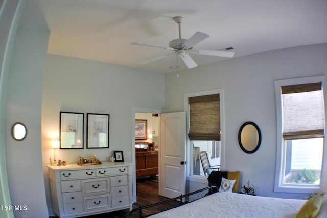 286 Sliger Rd, Jonesborough, TN 37659 - bedroom with multiple windows and dark wood-style flooring