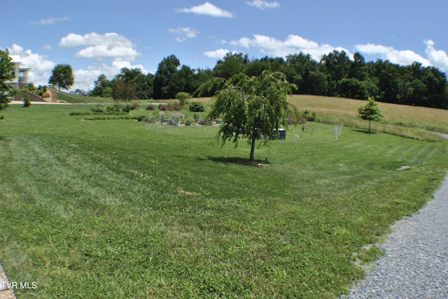 286 Sliger Rd, Jonesborough, TN 37659 - view of grassy yard featuring a view of rural / pastoral area