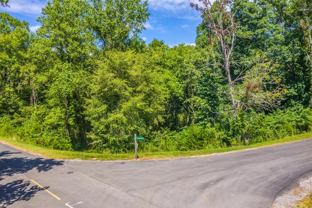 LOT30 Walnut Bend Dr, Whitesburg, TN 37891 - photo 1