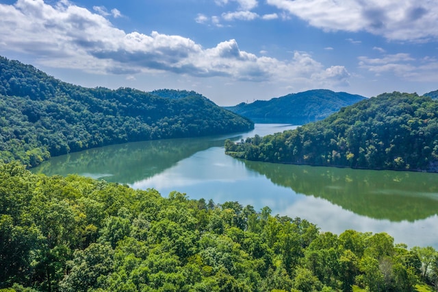 LOT30 Walnut Bend Dr, Whitesburg, TN 37891 - photo 3