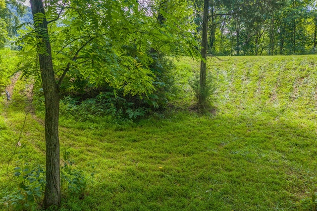 LOT30 Walnut Bend Dr, Whitesburg, TN 37891 - photo 4