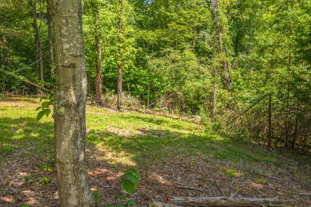 LOT30 Walnut Bend Dr, Whitesburg, TN 37891 - photo 5
