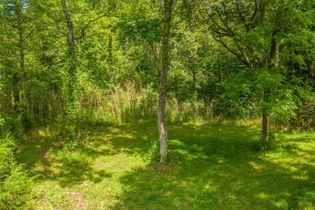 LOT30 Walnut Bend Dr, Whitesburg, TN 37891 - photo 6