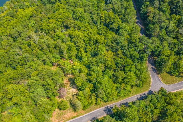LOT30 Walnut Bend Dr, Whitesburg, TN 37891 - photo 7