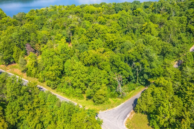 LOT30 Walnut Bend Dr, Whitesburg, TN 37891 - photo 8
