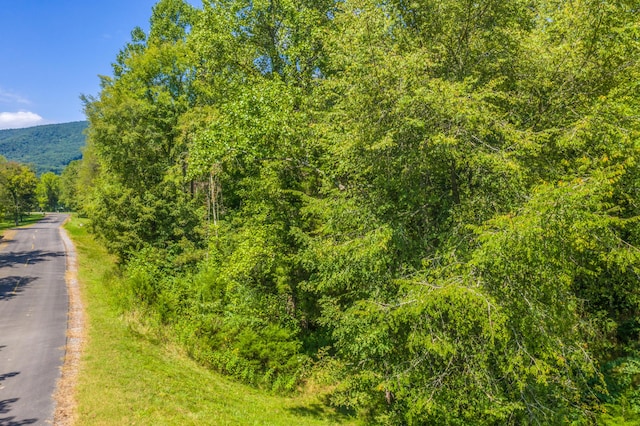 LOT30 Walnut Bend Dr, Whitesburg, TN 37891 - photo 9