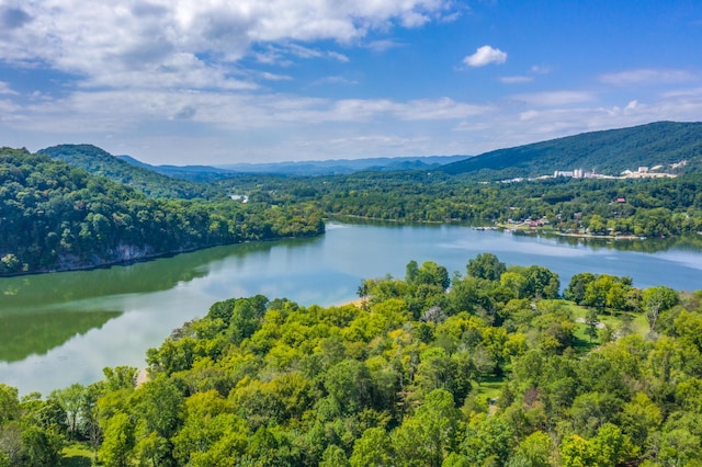 LOT30 Walnut Bend Dr, Whitesburg, TN 37891 - photo 10