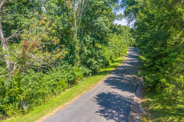 LOT30 Walnut Bend Dr, Whitesburg, TN 37891 - photo 11