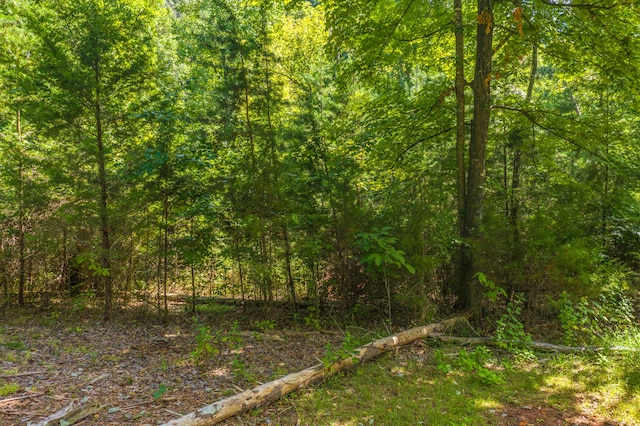LOT30 Walnut Bend Dr, Whitesburg, TN 37891 - photo 12