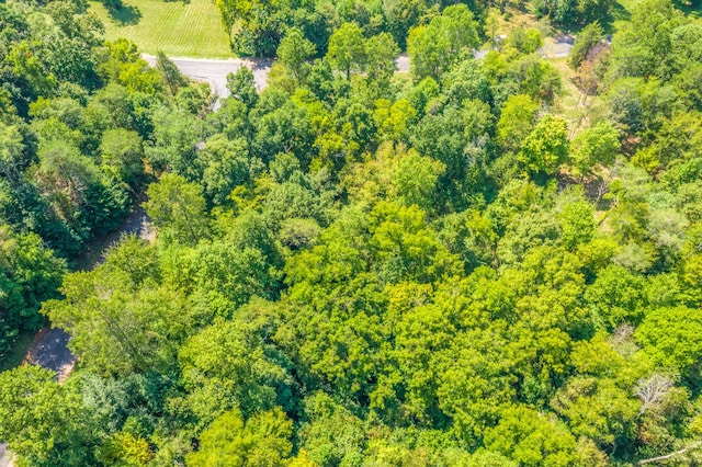 LOT30 Walnut Bend Dr, Whitesburg, TN 37891 - photo 13