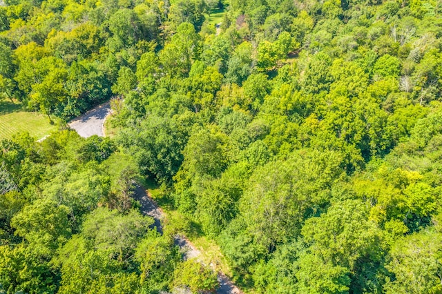 LOT30 Walnut Bend Dr, Whitesburg, TN 37891 - photo 14