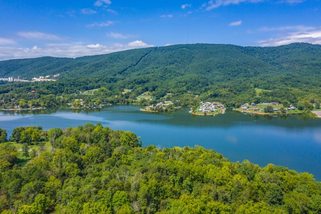 LOT30 Walnut Bend Dr, Whitesburg, TN 37891 - photo 15