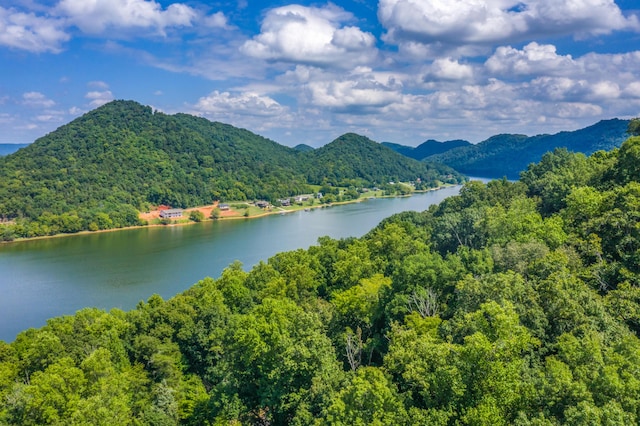 LOT30 Walnut Bend Dr, Whitesburg, TN 37891 - photo 17