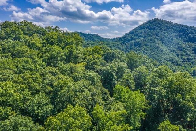 LOT30 Walnut Bend Dr, Whitesburg, TN 37891 - photo 18