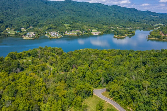 LOT30 Walnut Bend Dr, Whitesburg, TN 37891 - photo 19