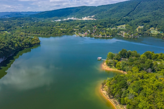 LOT30 Walnut Bend Dr, Whitesburg, TN 37891 - photo 20