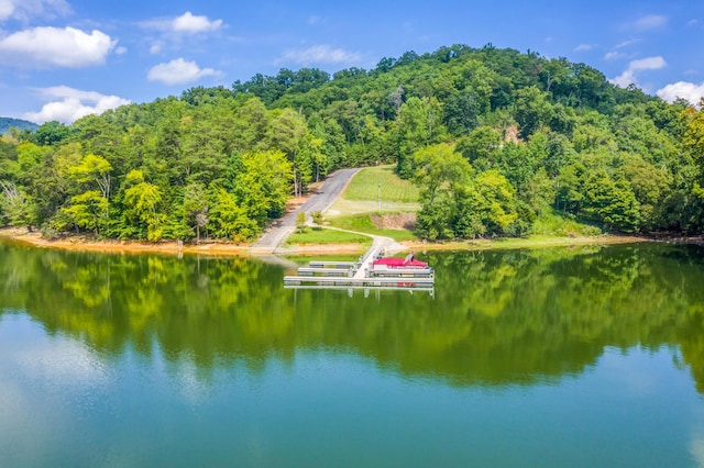 LOT30 Walnut Bend Dr, Whitesburg, TN 37891 - photo 25