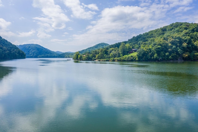 LOT30 Walnut Bend Dr, Whitesburg, TN 37891 - photo 27