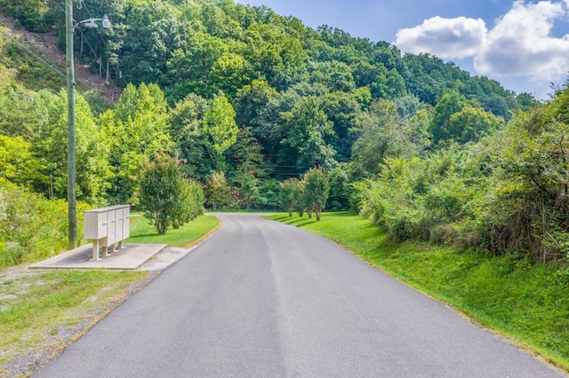 LOT30 Walnut Bend Dr, Whitesburg, TN 37891 - photo 28