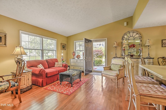713 Teasel Dr Unit 0, Kingsport, TN 37660 - living room featuring vaulted ceiling, light wood-style flooring, and a textured ceiling