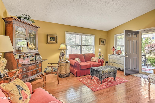 713 Teasel Dr Unit 0, Kingsport, TN 37660 - living room with a textured ceiling, wood-type flooring, and lofted ceiling