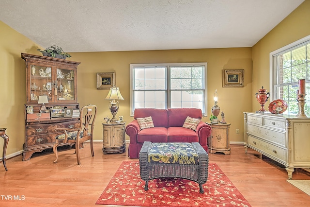 713 Teasel Dr Unit 0, Kingsport, TN 37660 - living area featuring light wood-style flooring and a textured ceiling