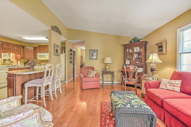 713 Teasel Dr Unit 0, Kingsport, TN 37660 - living area featuring a textured ceiling and light wood finished floors